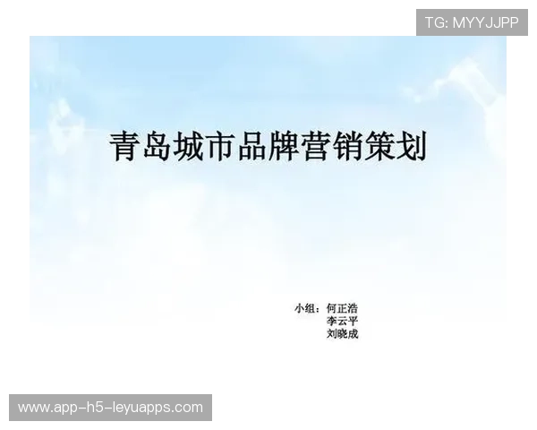 综合赛事品牌建设及推广策略案例(371 ) 综合赛事品牌建设及推广策略案例(371 )